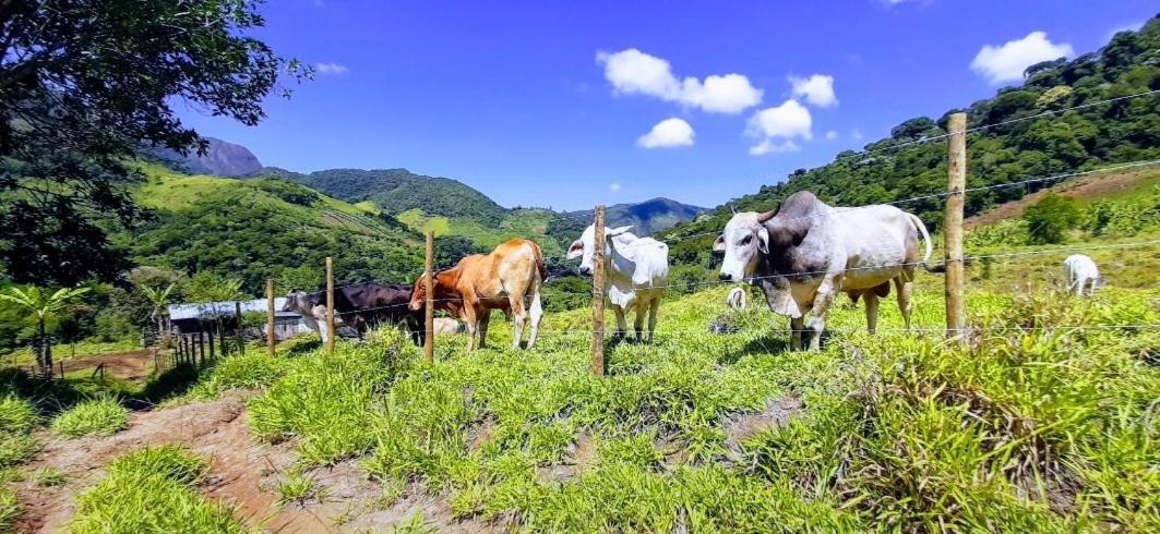 Fazendinha Paraiso Lumiar Dış mekan fotoğraf