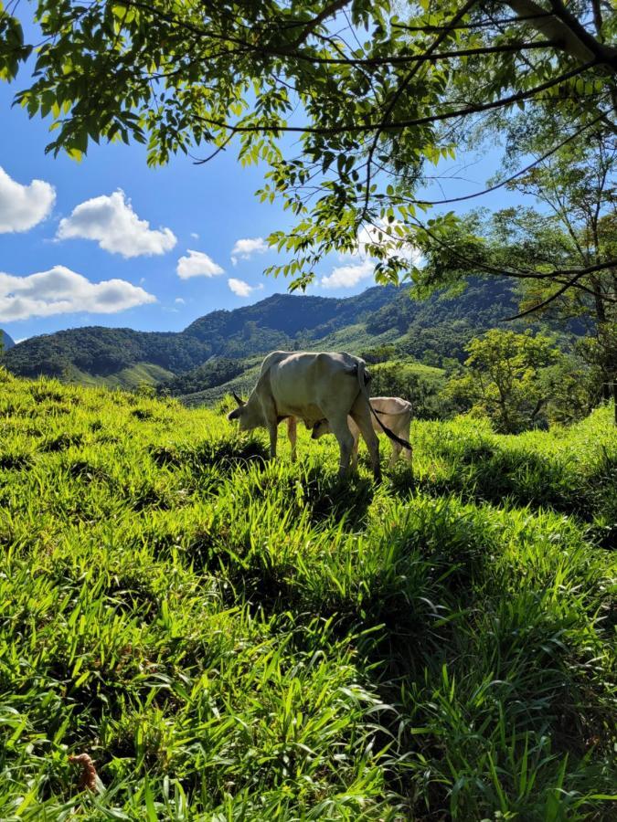 Fazendinha Paraiso Lumiar Dış mekan fotoğraf